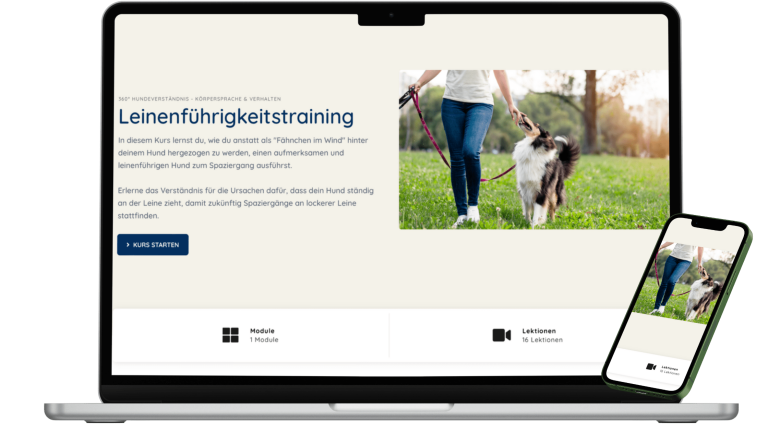 Leinenführigkeit trainieren