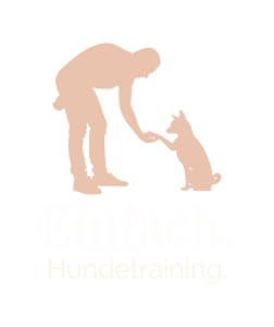 logo-transparent-png